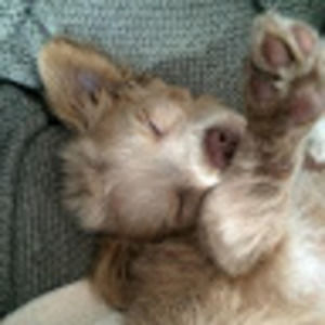 Meet your Posher, Iimqo_ethrielle101